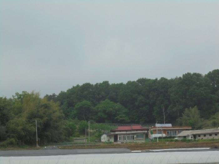 충청남도 부여군 장암면 지토리 산111-12 임야 경매 사진 9