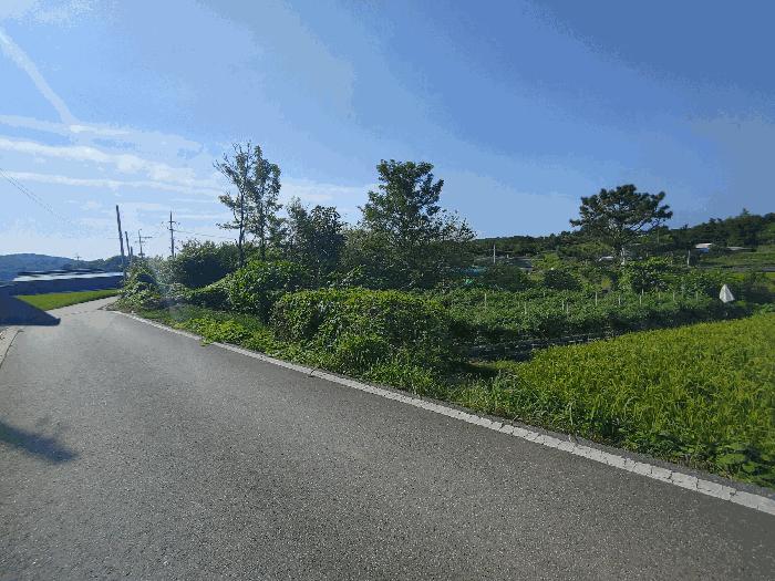 충청남도 부여군 석성면 현내리 631 임야 경매 사진 1