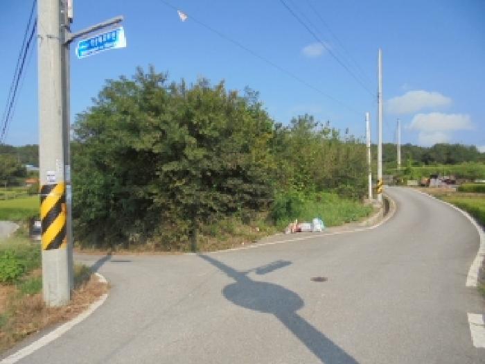 충청남도 부여군 석성면 현내리 631 임야 경매 사진 6