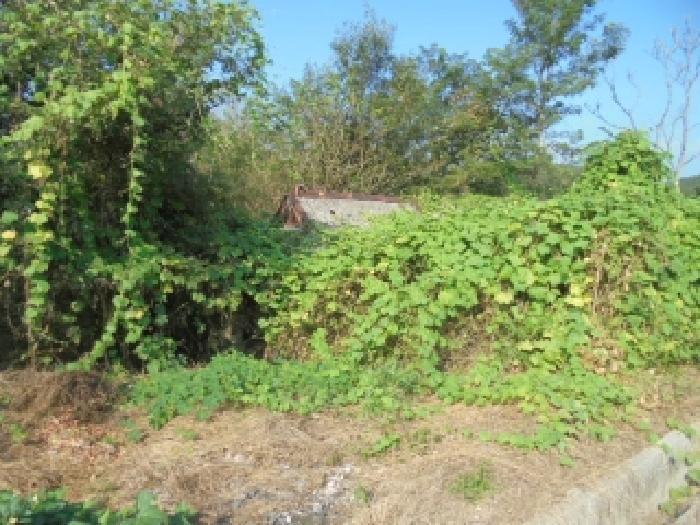 충청남도 부여군 석성면 현내리 631 임야 경매 사진 8