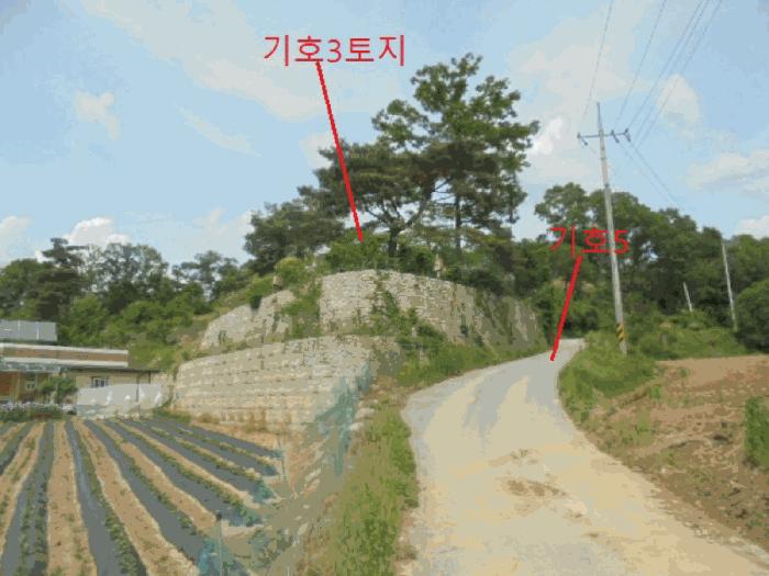 충청북도 충주시 엄정면 신만리 452-13 근린시설 경매 사진 11