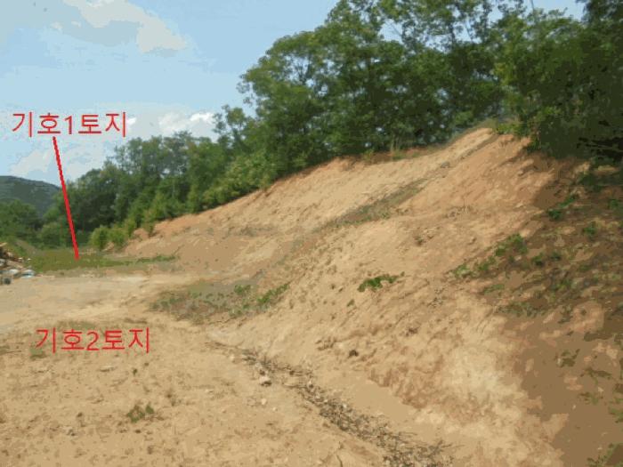 충청북도 충주시 엄정면 신만리 452-13 근린시설 경매 사진 12