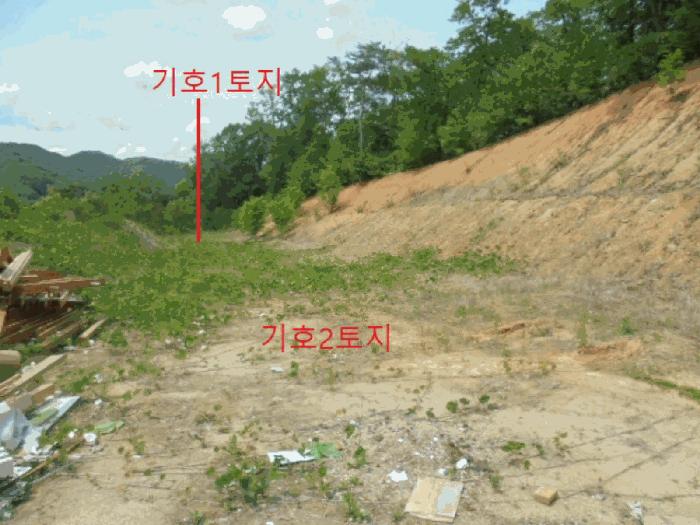 충청북도 충주시 엄정면 신만리 452-13 근린시설 경매 사진 7