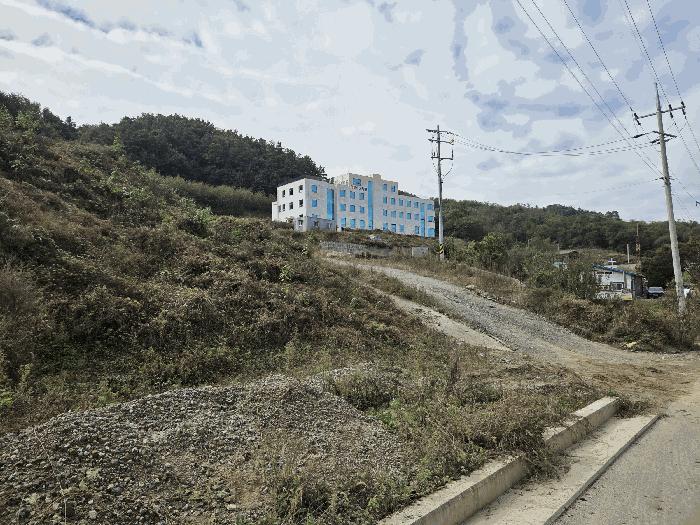 충청북도 충주시 임야