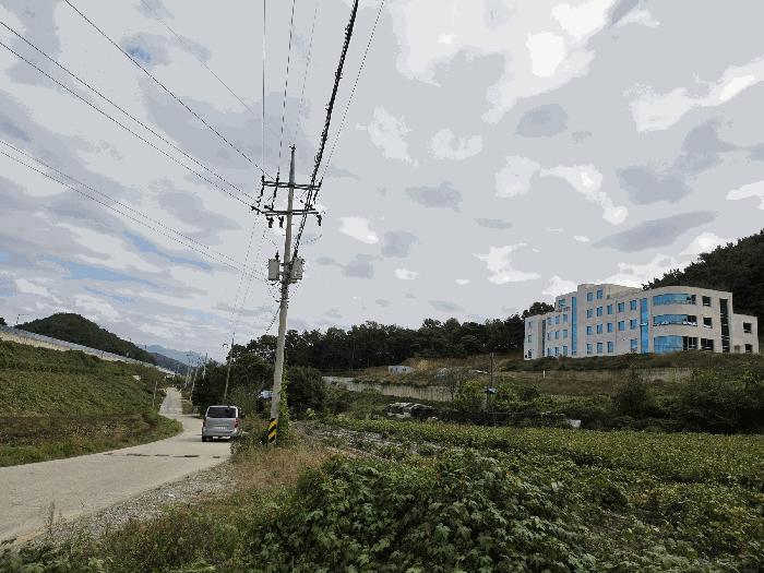 충청북도 충주시 대소원면 대소리 81-1 임야 경매 사진 12