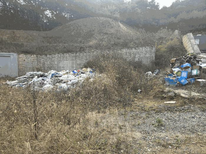 충청북도 충주시 대소원면 대소리 81-1 임야 경매 사진 14
