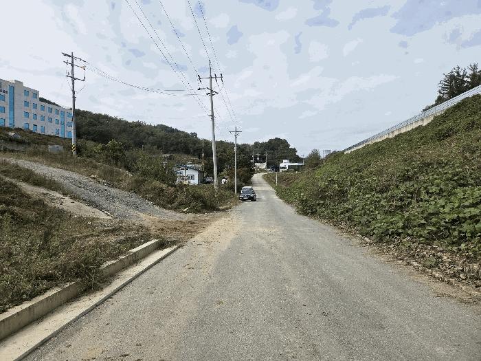 충청북도 충주시 대소원면 대소리 81-1 임야 경매 사진 2