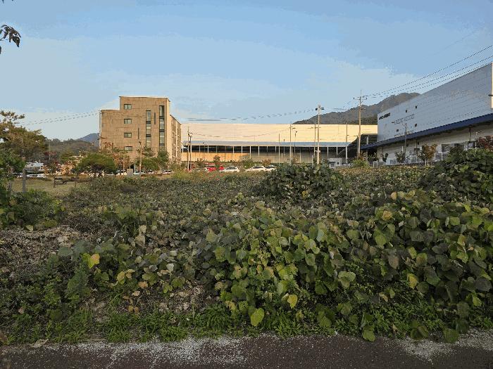 충청북도 충주시 주차장