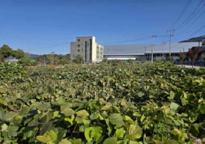 충청북도 충주시 용탄동 1179 주차장 경매 사진 7