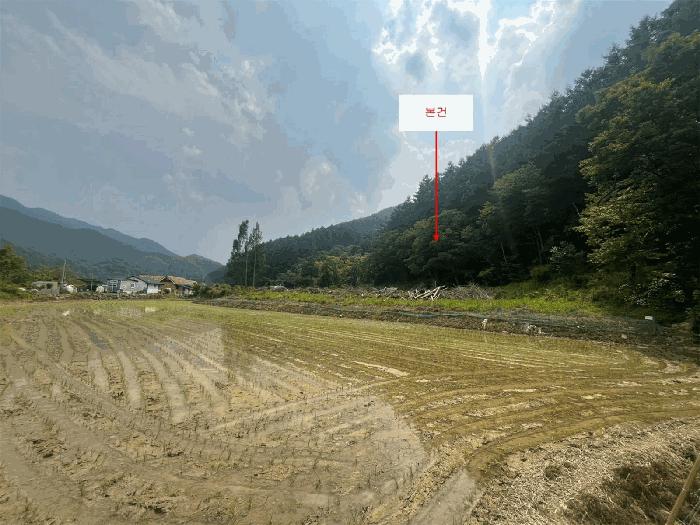 강원특별자치도 원주시 소초면 학곡리 164 답 경매 사진 5