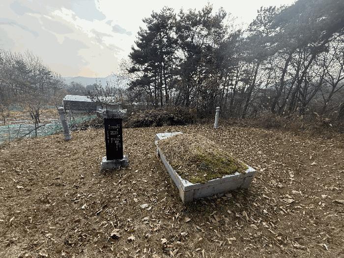 충청북도 음성군 원남면 보룡리 42-5 축사(농가시설) 경매 사진 3