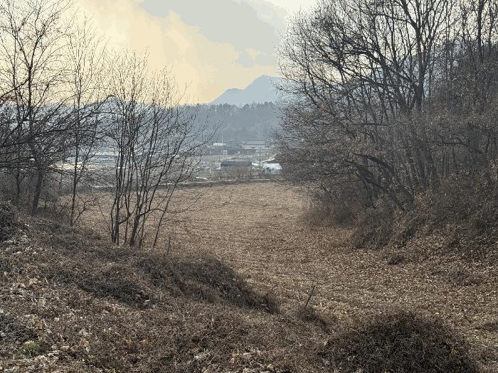 충청북도 음성군 원남면 보룡리 42-5 축사(농가시설) 경매 사진 4