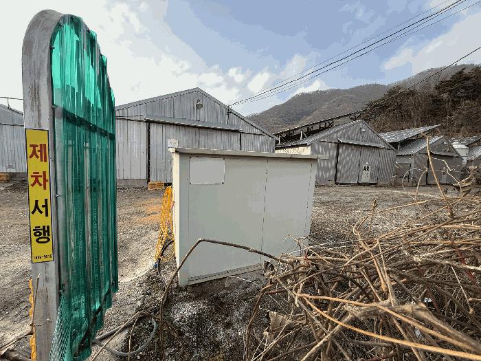 충청북도 음성군 원남면 보룡리 42-5 축사(농가시설) 경매 사진 7