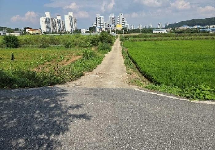 충청남도 아산시 탕정면 동산리 275-2 답 경매 사진 14