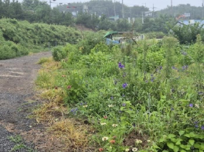 경상북도 포항시 북구 흥해읍 덕성리 110 전 경매 사진 8