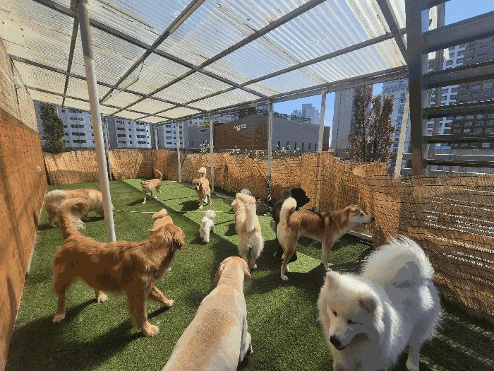 부산광역시 해운대구 좌동 1483-4 8층801호 근린상가 경매 사진 3