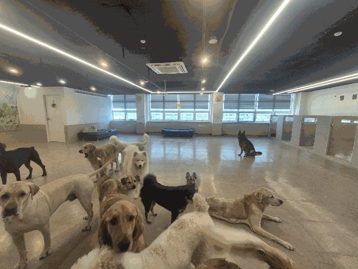 부산광역시 해운대구 좌동 1483-4 8층801호 근린상가 경매 사진 5