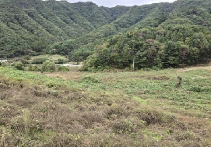 충청북도 충주시 수안보면 사문리 209 전 경매 사진 10