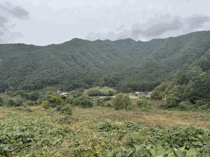 충청북도 충주시 수안보면 사문리 209 전 경매 사진 3