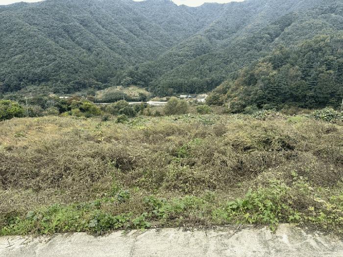 충청북도 충주시 수안보면 사문리 209 전 경매 사진 5
