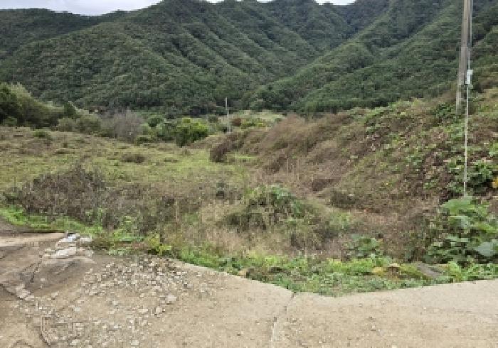 충청북도 충주시 수안보면 사문리 252 전 경매 사진 11