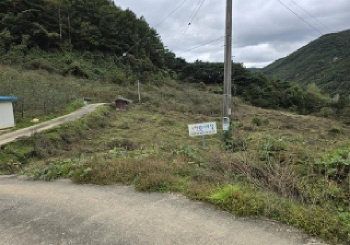 충청북도 충주시 수안보면 사문리 252 전 경매 사진 12