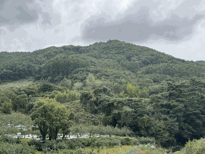 충청북도 충주시 수안보면 사문리 252 전 경매 사진 2
