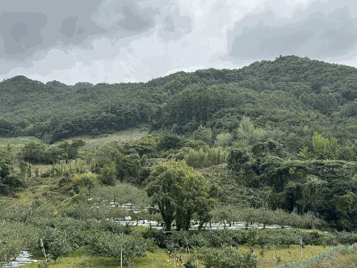 충청북도 충주시 전