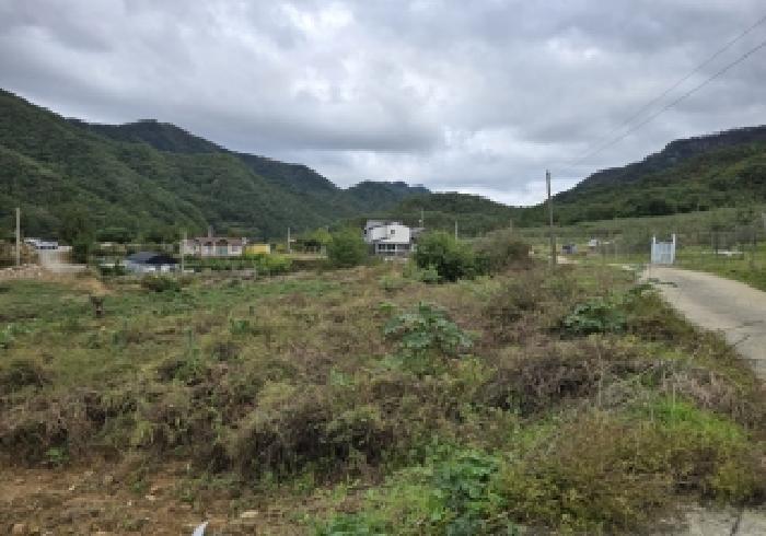 충청북도 충주시 수안보면 사문리 262 전 경매 사진 13