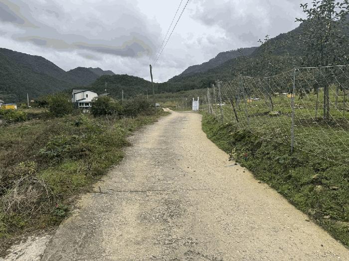 충청북도 충주시 수안보면 사문리 262 전 경매 사진 6