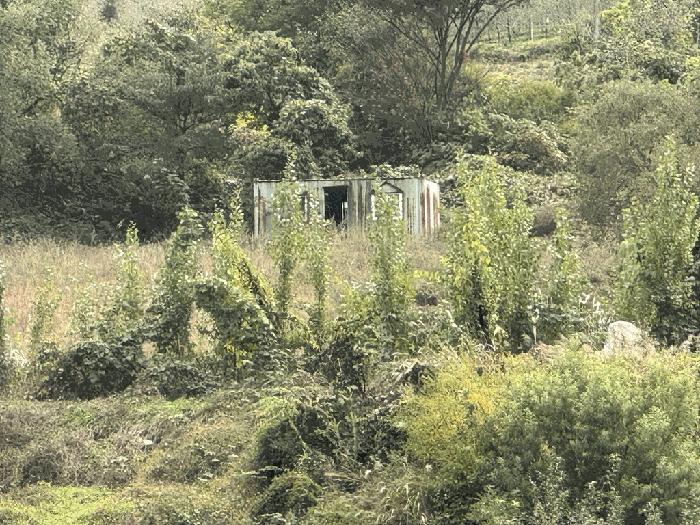 충청북도 충주시 수안보면 사문리 262 전 경매 사진 7