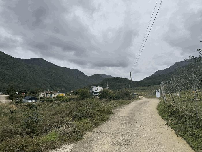 충청북도 충주시 수안보면 사문리 262 전 경매 사진 9
