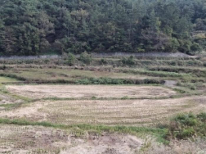 경상남도 남해군 삼동면 지족리 산44-2 임야 경매 사진 12