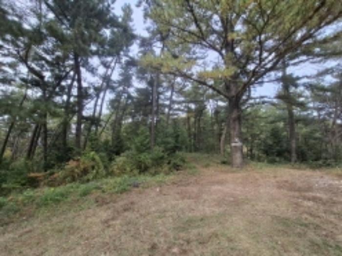 경상남도 남해군 삼동면 지족리 산44-2 임야 경매 사진 14