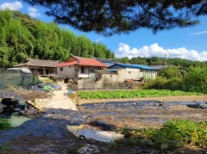 경상남도 진주시 수곡면 창촌리 산10 임야 경매 사진 11