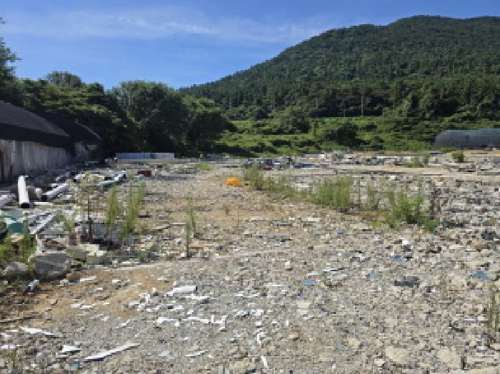전라남도 완도군 소안면 가학리 119 잡종지 경매 사진 18