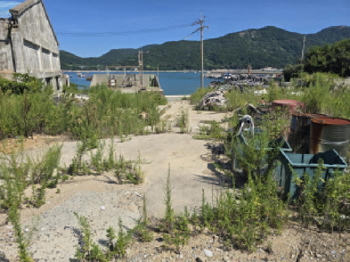 전라남도 완도군 소안면 가학리 119 잡종지 경매 사진 19