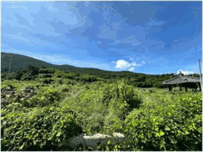 전라남도 완도군 소안면 가학리 119 잡종지 경매 사진 4