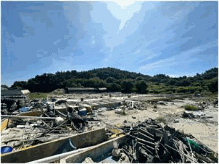 전라남도 완도군 소안면 가학리 119 잡종지 경매 사진 7