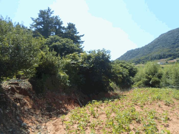 전라남도 해남군 화원면 마산리 159-1 대지 경매 사진 3