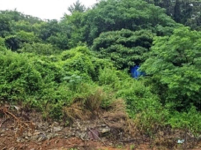 전라남도 해남군 화원면 마산리 159-1 대지 경매 사진 5
