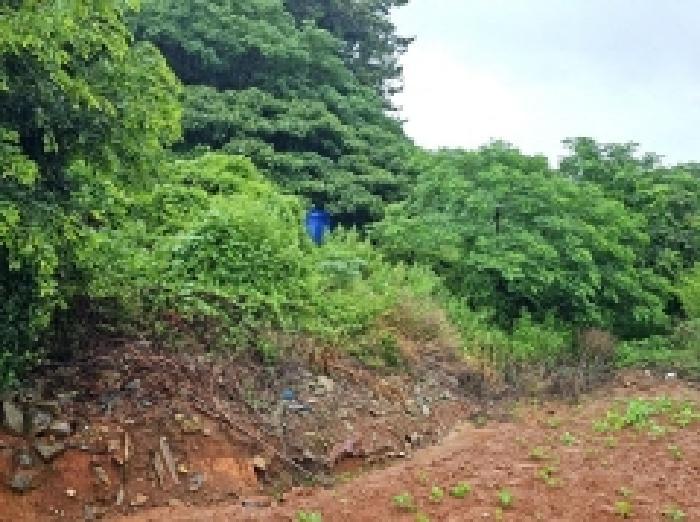 전라남도 해남군 화원면 마산리 159-1 대지 경매 사진 6