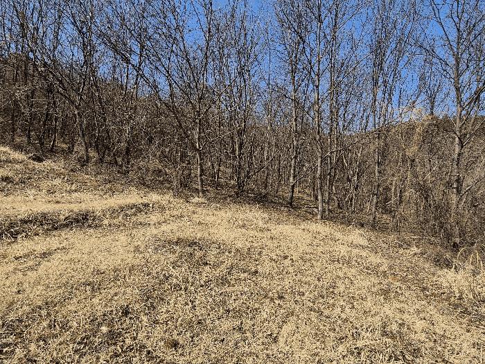 경상남도 산청군 단성면 입석리 579 공장 경매 사진 3