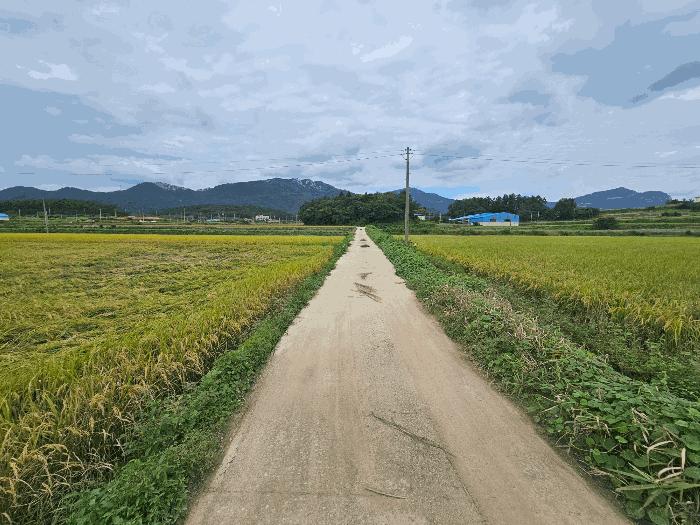 전남 해남군 답