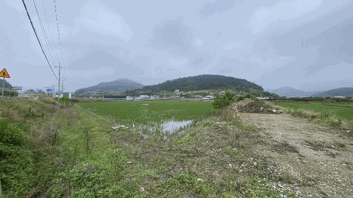 전라남도 진도군 진도읍 동외리 산74-1 임야 경매 사진 1