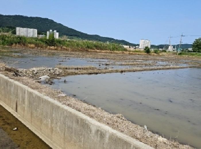 전라남도 진도군 진도읍 동외리 산74-1 임야 경매 사진 8