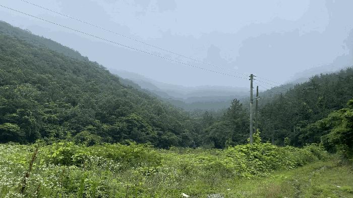 전라남도 진도군 진도읍 포산리 1755-11 답 경매 사진 2
