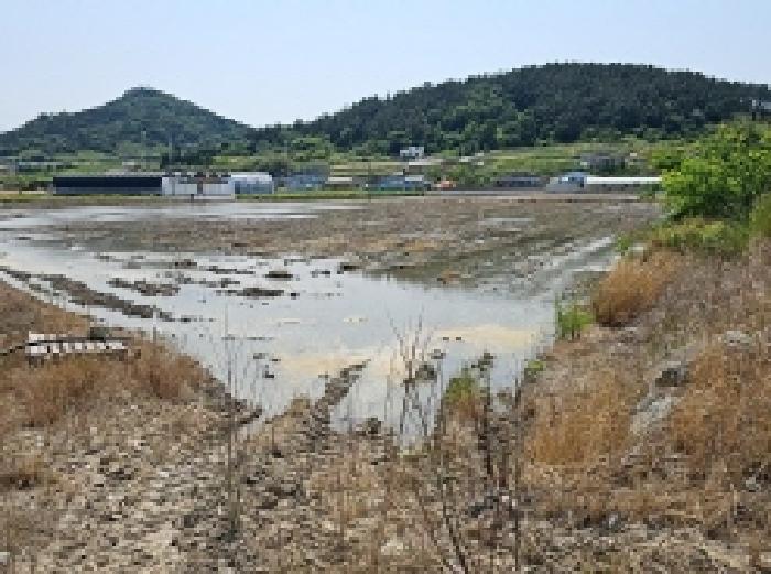 전라남도 진도군 진도읍 포산리 1755-11 답 경매 사진 7