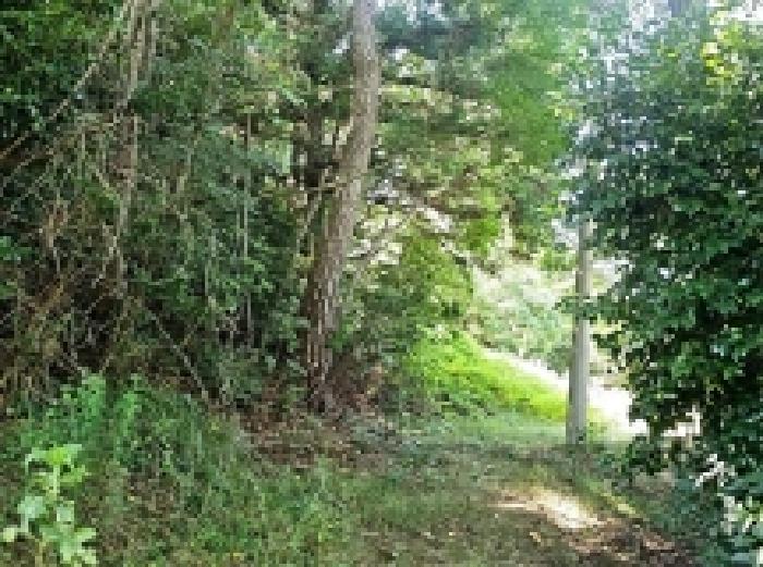 전라남도 해남군 삼산면 원진리 산75-5 임야 경매 사진 10