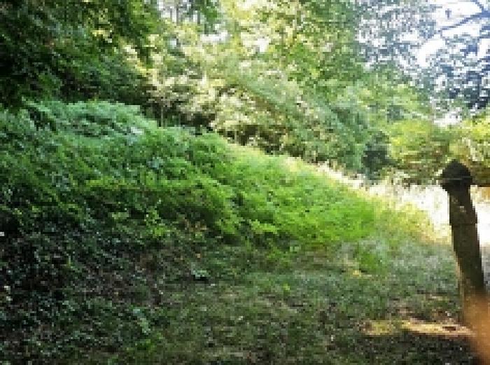 전라남도 해남군 삼산면 원진리 산75-5 임야 경매 사진 11